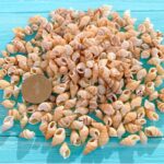 Shells